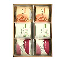 �ò������ͤ��碌 �ʲò���ץ��3��������ץ��3���ե롼�ĥ��꡼3��2300��