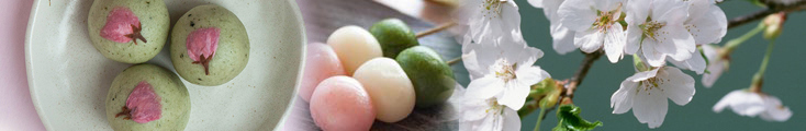 お菓子司 雅風堂  桜よもぎ饅頭